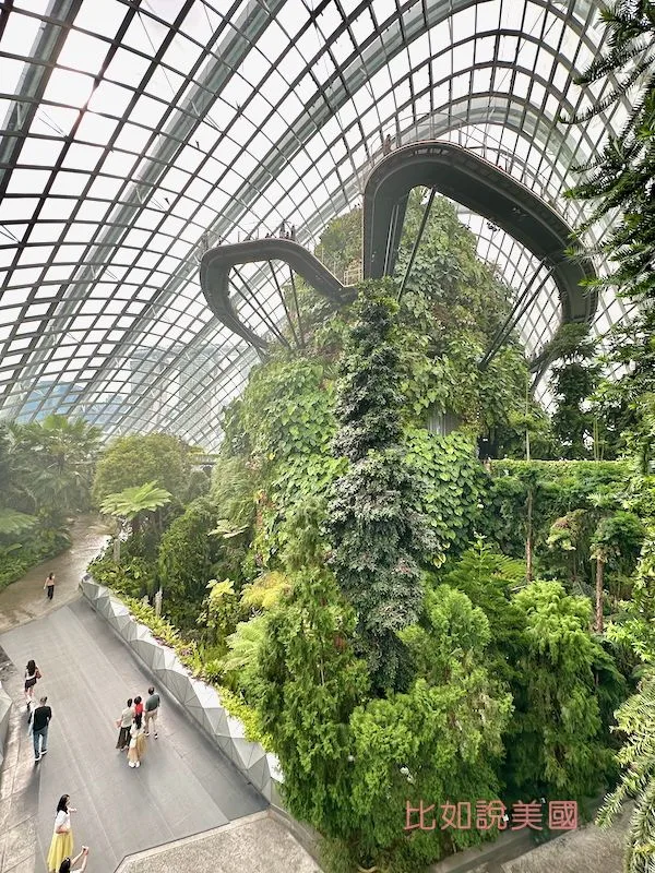 雲霧森林Cloud Forest