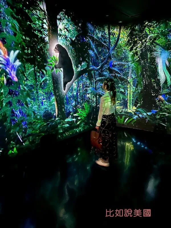 雲霧森林Cloud Forest