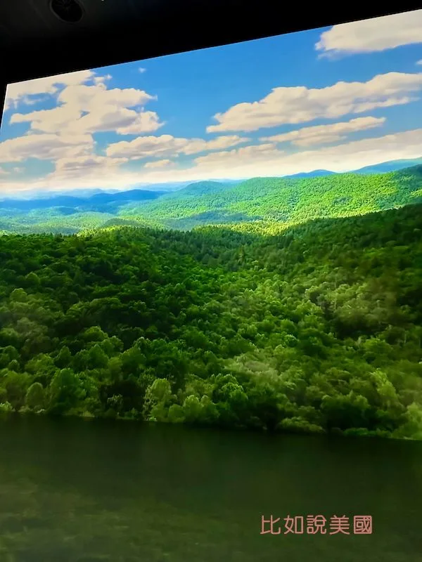 雲霧森林Cloud Forest