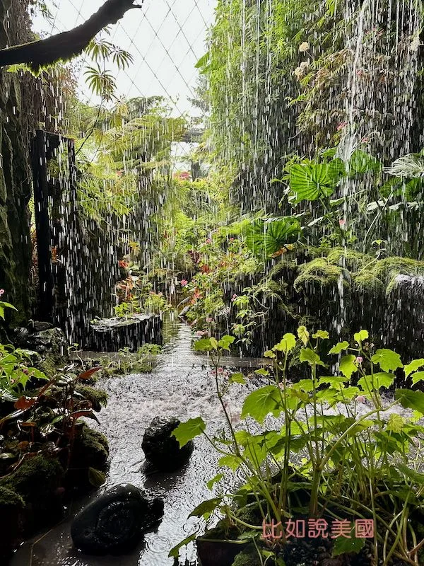 雲霧森林Cloud Forest