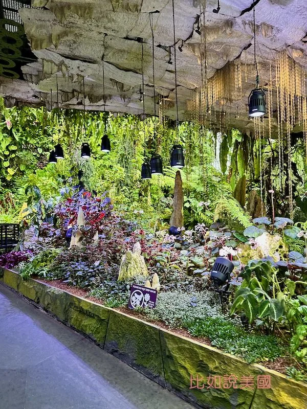 雲霧森林Cloud Forest