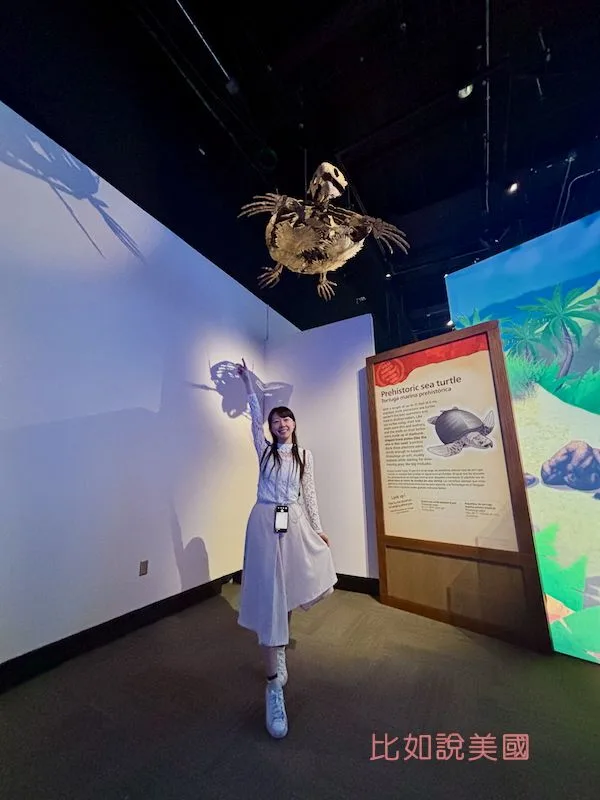 寶可夢化石博物館參觀心得