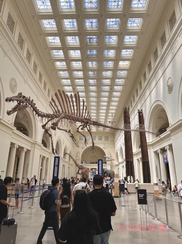 菲爾德博物館 Field Museum